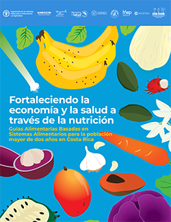 Portada del Resumen Ejecutivo de las Guías Alimentarias Basadas en Sistemas Alimentarios 