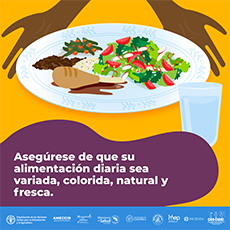 Aseguración de alimentación diaria