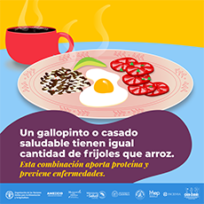 Un gallopinto o casado saludable tienen igual cantidad de frijoles que arroz. 