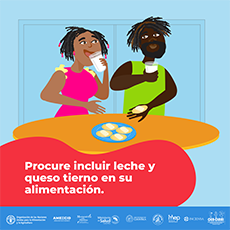 Procure incluir leche y queso tierno en su alimentación.