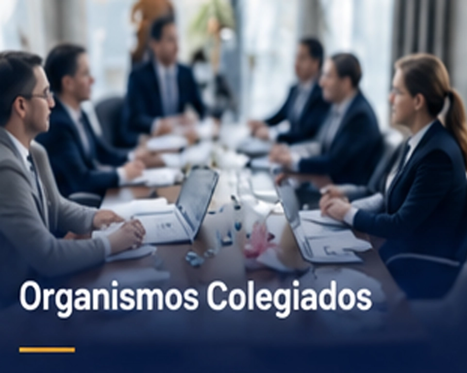Organismos Colegiados