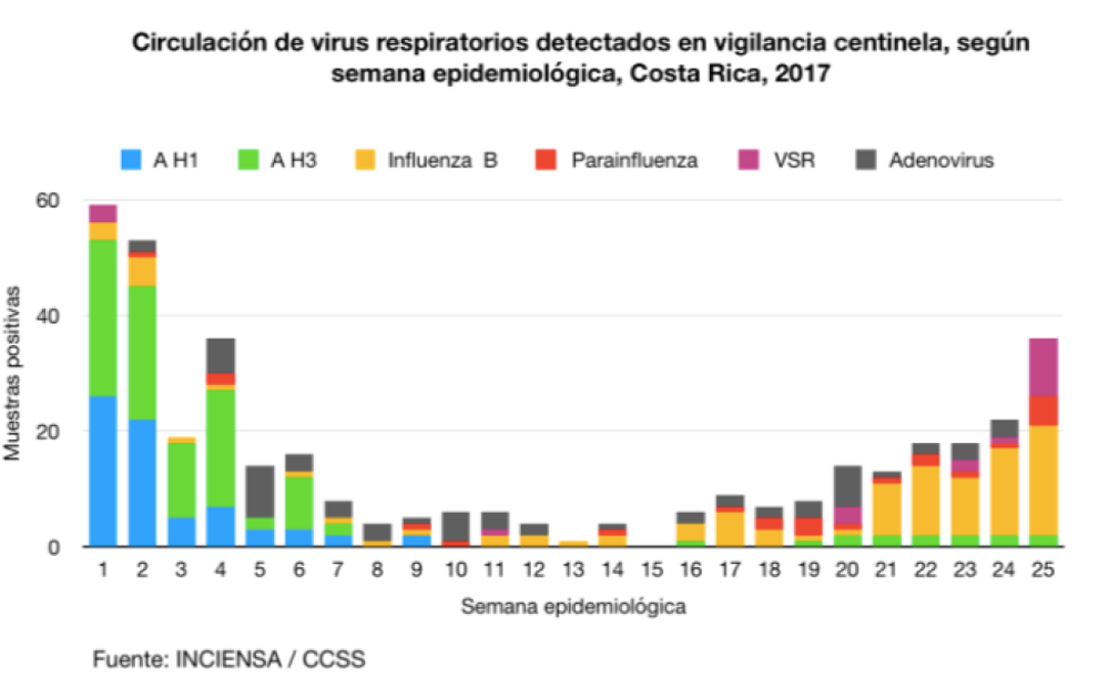 dm alerta virus sincicial