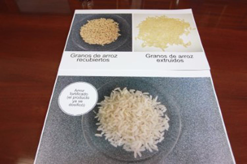 dm boletin fortificación 2   -  Ministerio de Salud aclara sobre el llamado “arroz plástico”  Arroz fortificado contribuye a la nutrición de la población