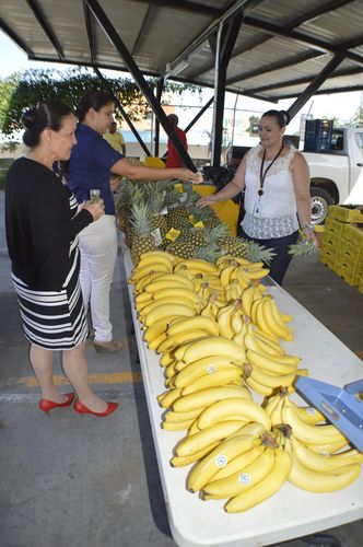 Costa Rica es un país  privilegiado, cuenta con diversas frutas frescas durante todo el año.