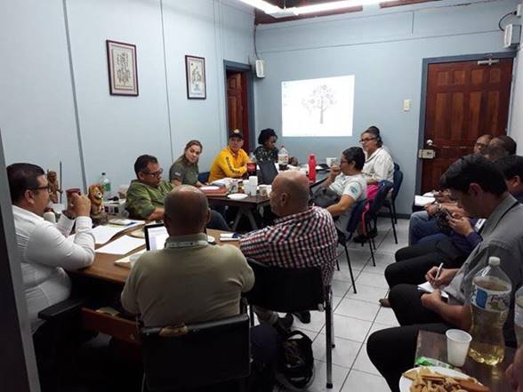 dm prensa img tormenta nate2     -   El Ministerio de Salud brinda los datos oficiales en materia sanitaria a la Comisión Nacional de Emergencias