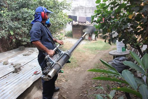 dm salud no bajara guardia zika 2017