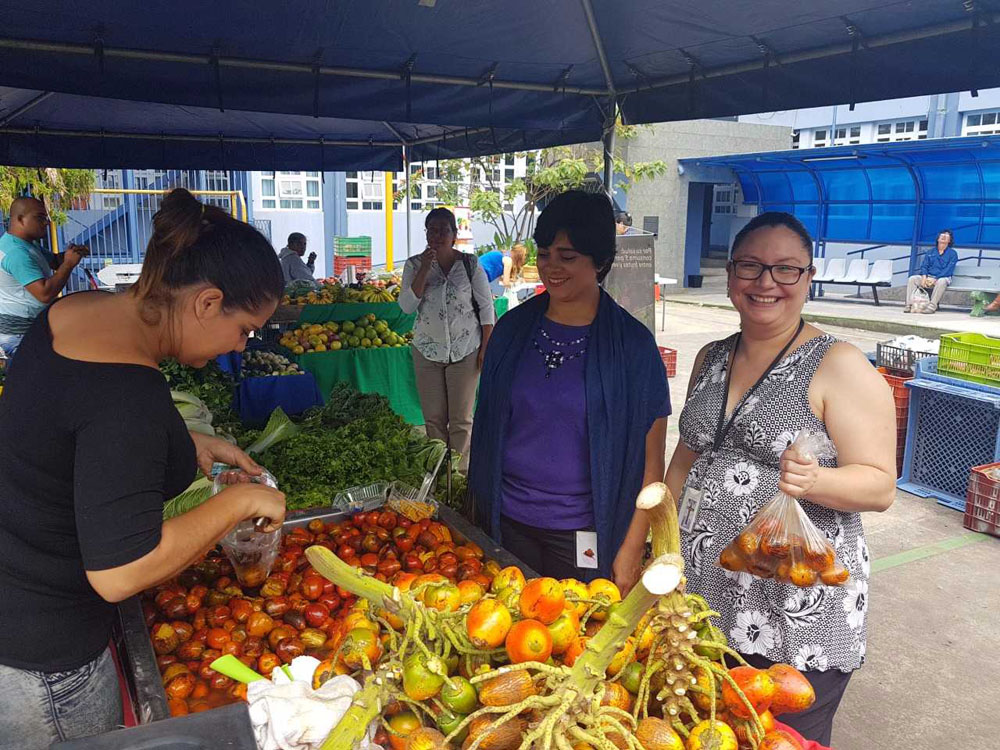 dm verduras img 3   -   Salud honra el Día Nacional de Frutas y Vegetales