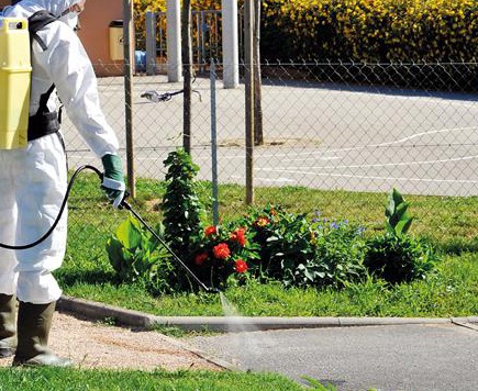 Salud reitera prohibición de uso de herbicidas industriales en espacios de convivencia humana