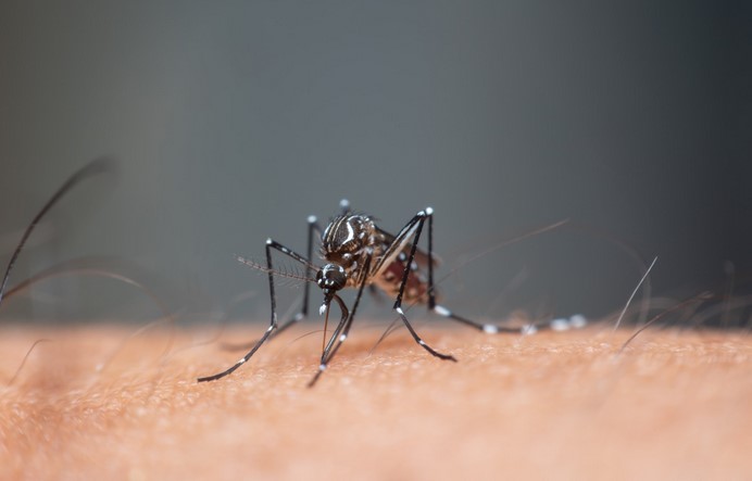 Ministerio de Salud, ICT y sector turístico invitan a mantener el dengue a raya en estas vacaciones Ministerio de Salud, ICT y sector turístico invitan a mantener el dengue a raya en estas vacaciones