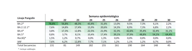 Casos y fallecimientos por COVID-19 continúan a la baja durante la semana epidemiológica 31 