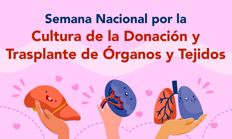 Autoridades de salud llaman a la población a manifestar su voluntad de donar órganos y tejidos Autoridades de salud llaman a la población a manifestar su voluntad de donar órganos y tejidos