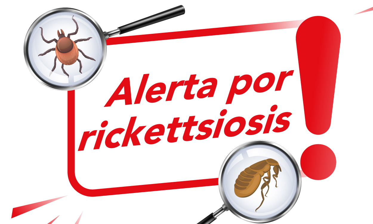 Ministerio de Salud confirma fallecimiento de tres personas por rickettsiosis