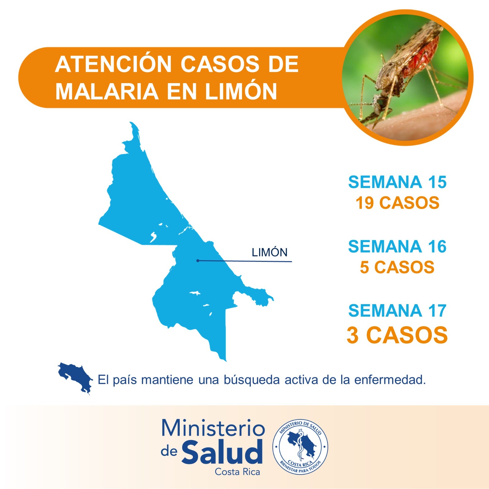 Región Huetar Caribe registra marcada disminución de casos de malaria