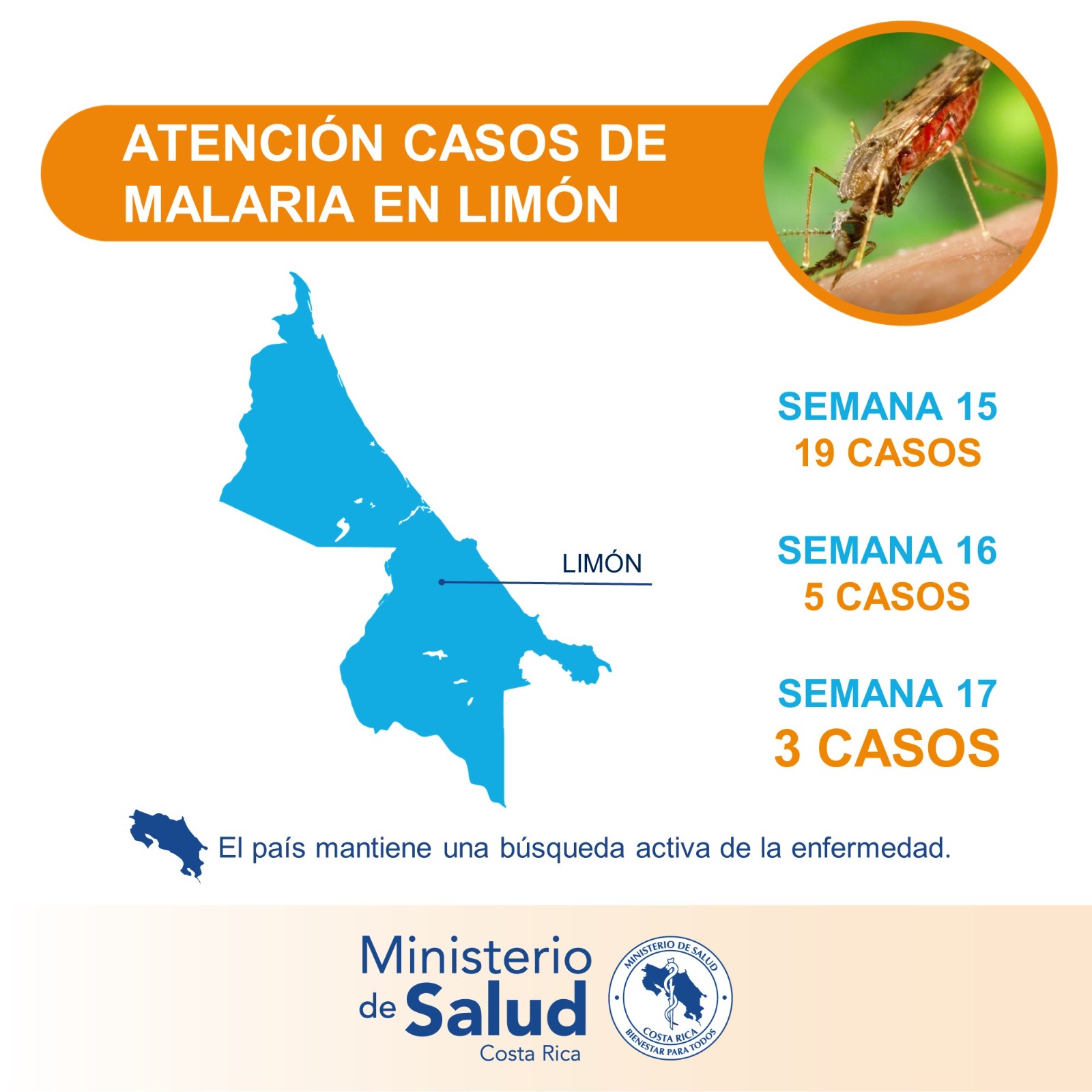 La región caribeña de Huetar registra marcado descenso de casos de malaria